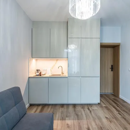 Lapwing Nest アパート ソポト